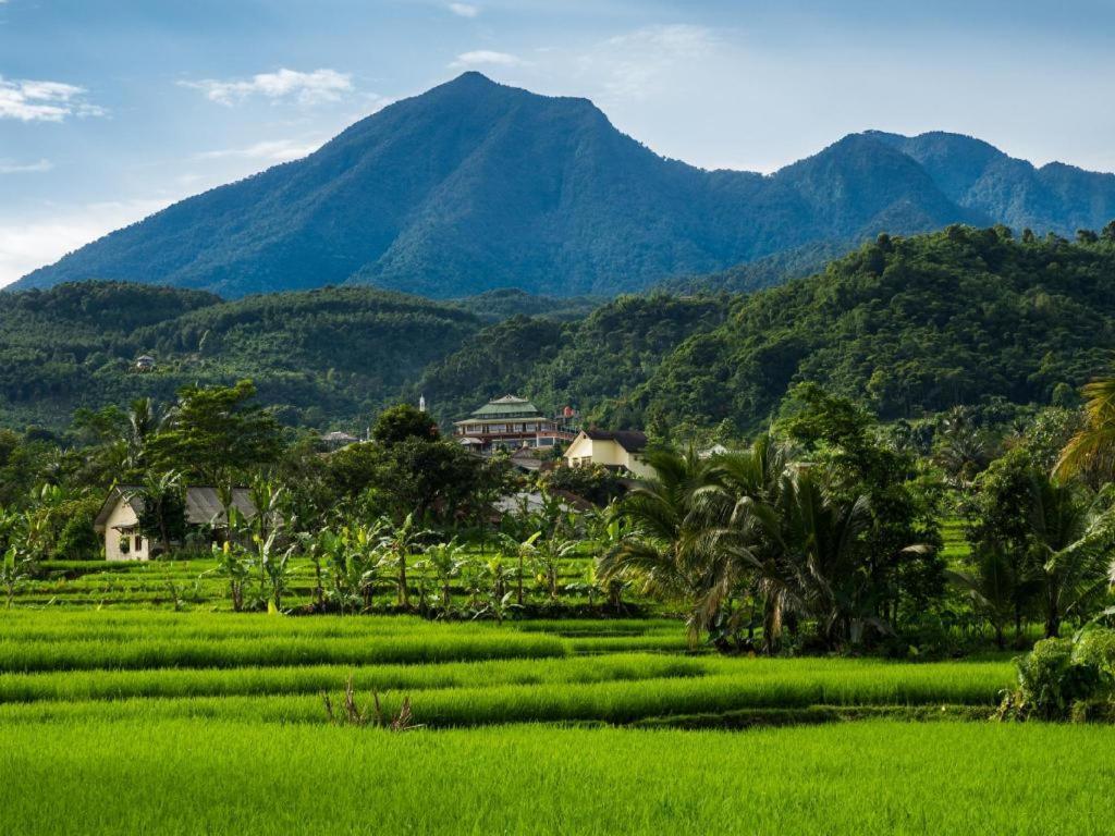 Amaris Hotel Padjajaran Bogor Zewnętrze zdjęcie